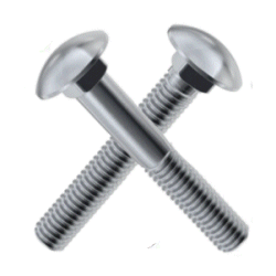 Carriage Bolts Stainless.