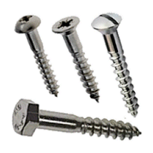 Stainless Steel Wood Screws.